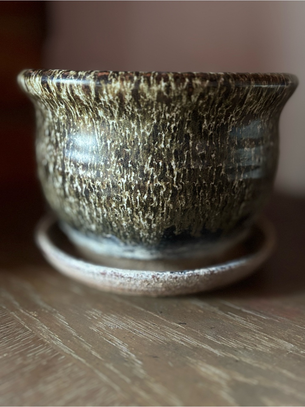 Textured Ceramic Planter in Olive and Cream